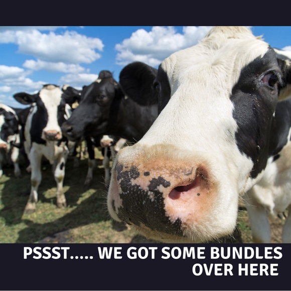 SUMMER CLEARANCE BUNDLE 2+ BOGO FREE - Picture 15 of 16